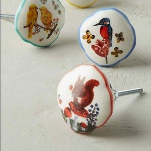 NWT Anthro Hand-painted Squirrel Cabinet Pulls